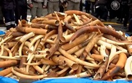 У подножья Эйфелевой башни публично уничтожили три тонны слоновой кости
