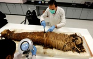 Археологи раскопали в Египте мумии писаря и рыбы
