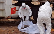 Число заболевших лихорадкой Эбола может вчетверо превышать официальное - ВОЗ