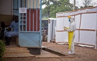 Японские ученые разработали быстрый способ определения вируса Эбола