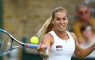 �������� (WTA). �������, ��������� � ����� �� ������ ������