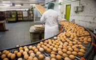 Украина в полтора раза нарастила экспорт яиц
