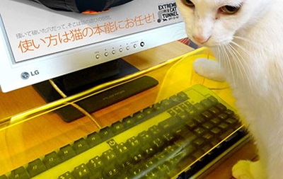 В Японии изобрели защиту клавиатуры от кошек