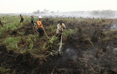 Жертвами лесных пожаров в Индонезии стали более 20 человек