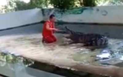 В Таиланде крокодил прокусил голову дрессировщику