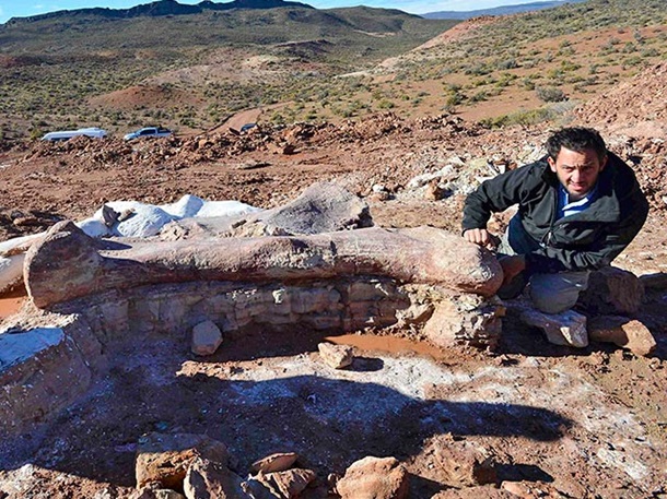 В Аргентине нашли кости самого большого животного на Земле