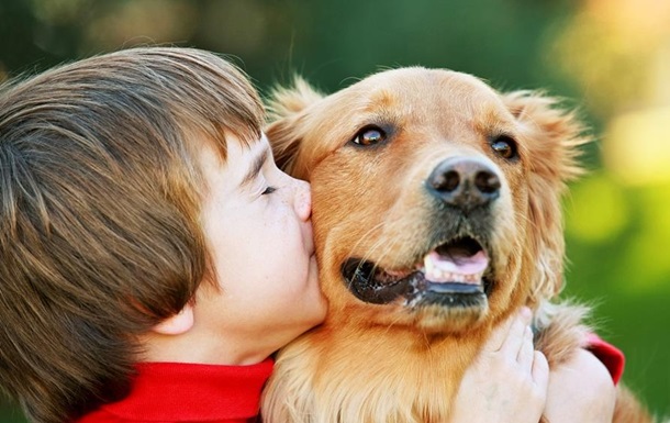 Люди и собаки связаны на гормональном уровне - ученые