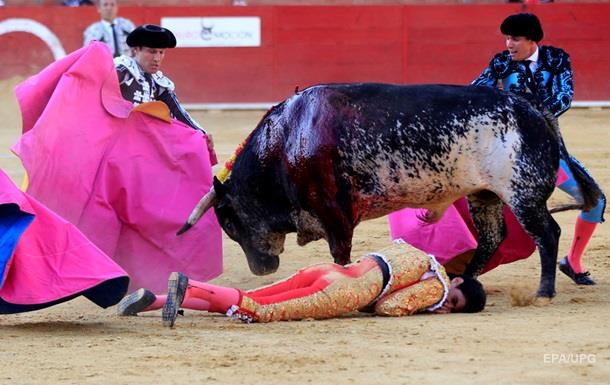 В Испании бык убил тореадора впервые за последние 30 лет