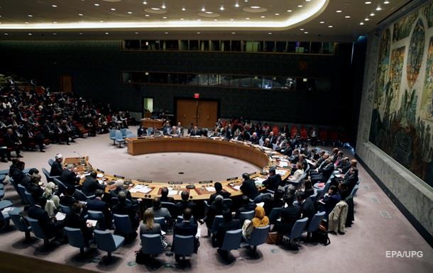 Египет заблокировал заявление Совбеза ООН по Турции
