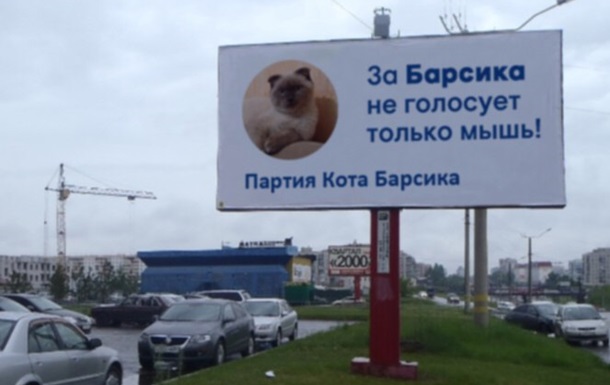 На пост президента РФ будет баллотироваться кот