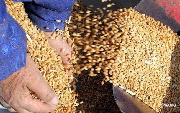 Украина заработала на сельхозпродукции $  12 млрд