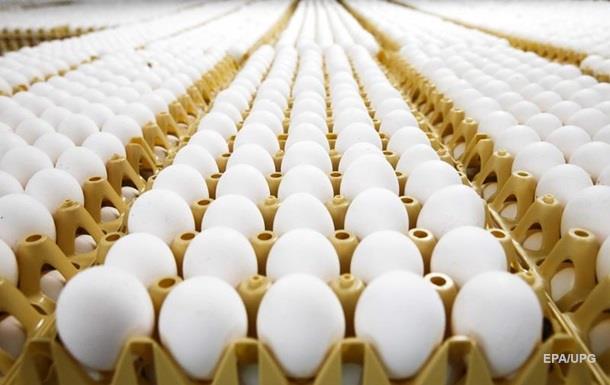 В ЕС в миллионах яиц нашли токсичное вещество