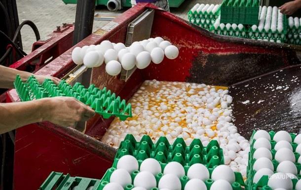 В Дании обнаружили 20 тонн зараженных яиц