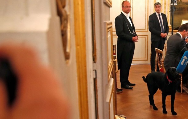 Президент Франции взял собаку из приюта