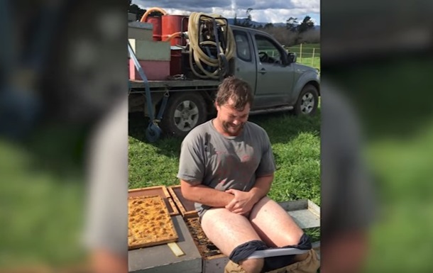 В Новой Зеландии пчеловод сел на улей без штанов
