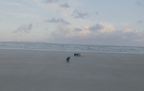 Австралийка обнаружила на пляже безглазое существо