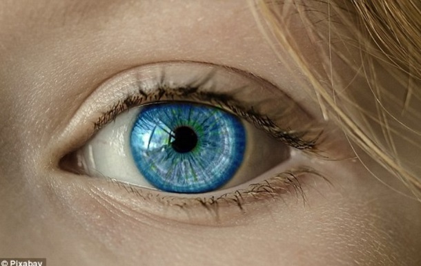 Google предсказывает болезни сердца по сетчатке глаза