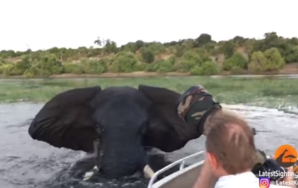Слон разозлился и атаковал лодку с туристами