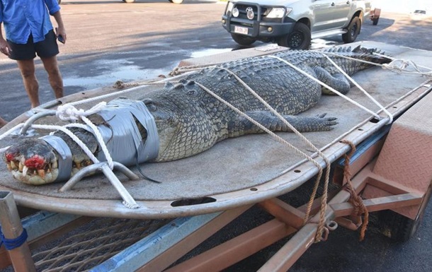 Гигантского крокодила поймали после 8-летней охоты