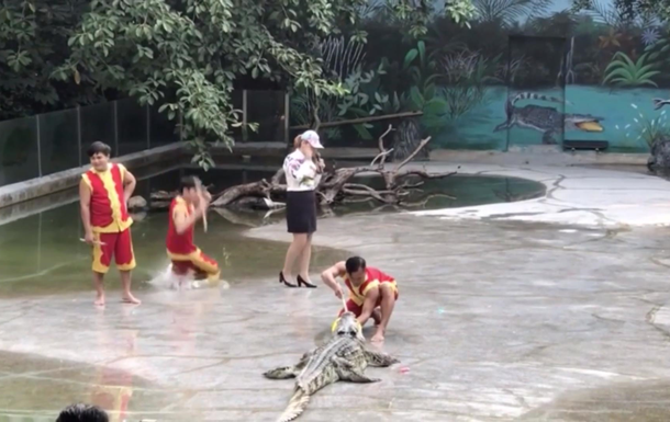 Китаец упал в бассейн с крокодилами во время шоу