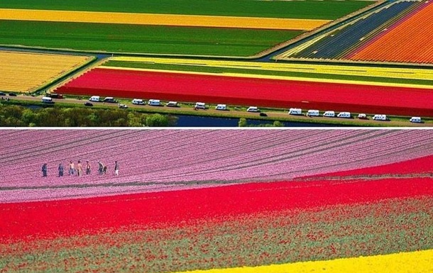 В королевском парке цветов в Нидерландах открывается новый сезон