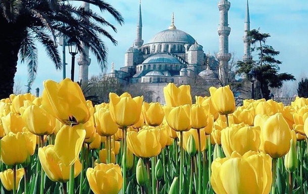 В Стамбуле зацвели 13 миллионов тюльпанов