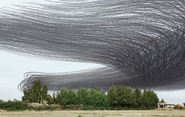 Фотограф создал уникальные снимки птичьих полетов