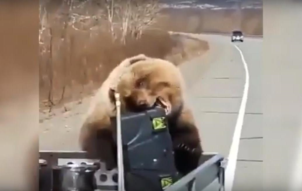 Медведь вытащил из машины охотников еду