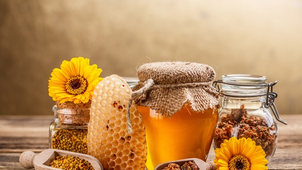 Киевлянам рассказали о самых ярких мероприятиях на этих выходных