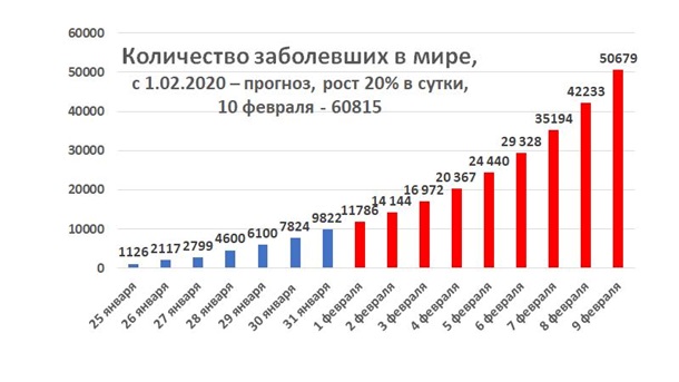 2465383.jpg?v=637165064741600520