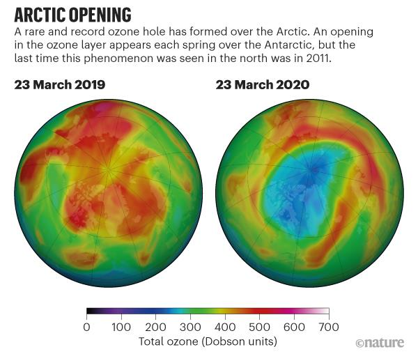 Огромная озоновая дыра образовалась над Арктикой (ФОТО) 1