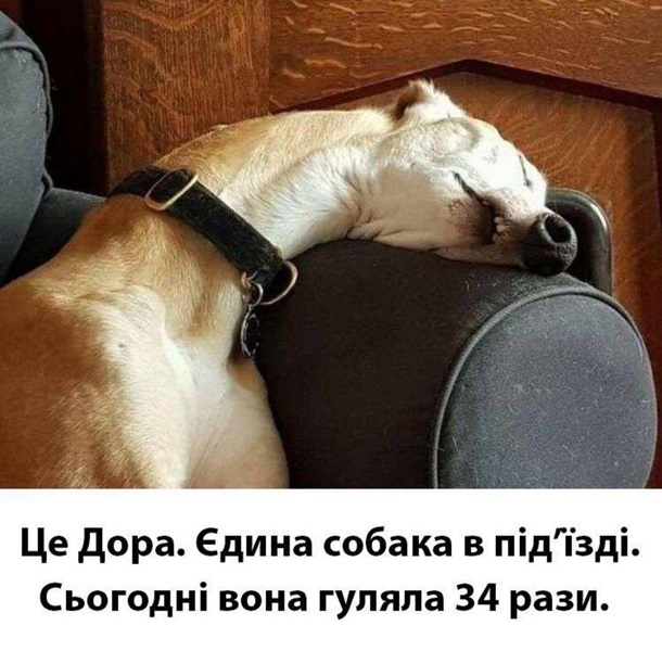 Коронавирус в Украине. Последние новости онлайн