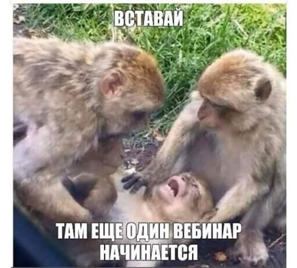 Коронавирус в Украине. Последние новости онлайн