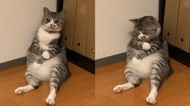 Хто здесь? #6 Хто здесь? #6