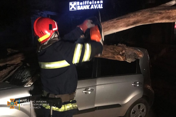 В Кривом Роге на авто рухнуло дерево, есть пострадавший