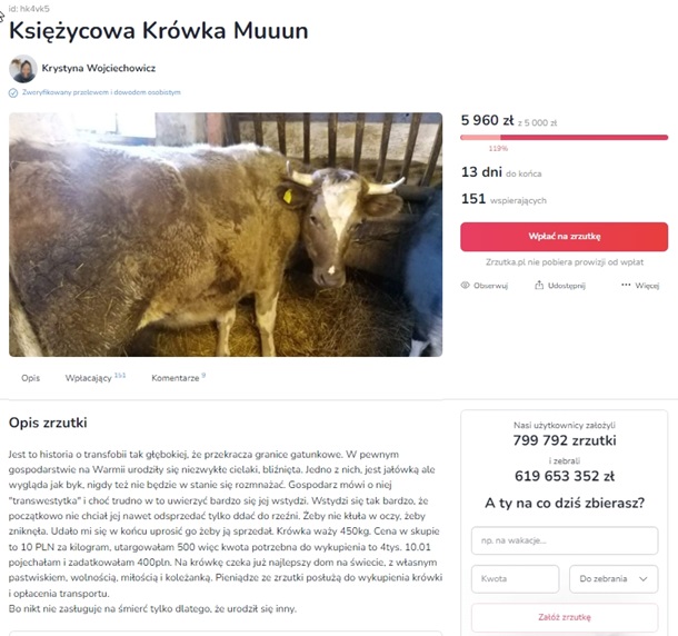 В Польше ЛГБТ-активисты собрали средства на спасение коровы-"трансгендера" (ФОТО) 1