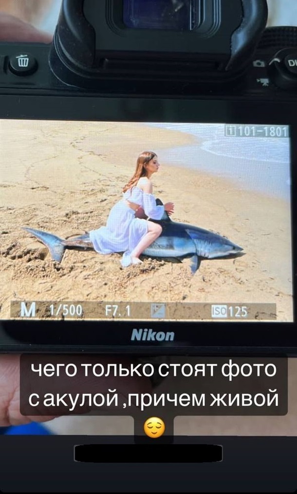В России модель убила акулу ради фотосессии