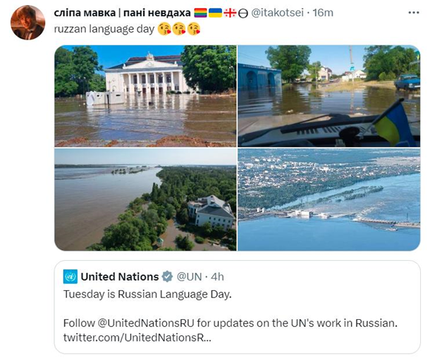 ООН после подрыва РФ Каховской ГЭС отмечает День русского языка