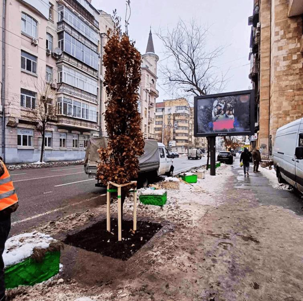 В Киеве уничтожили дуб Романа Ратушного В Киеве уничтожили дуб Романа Ратушного