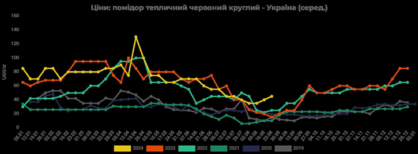 Ціни на помідори в Україні побили показник за сім років Ціни на помідори в Україні побили показник за сім років