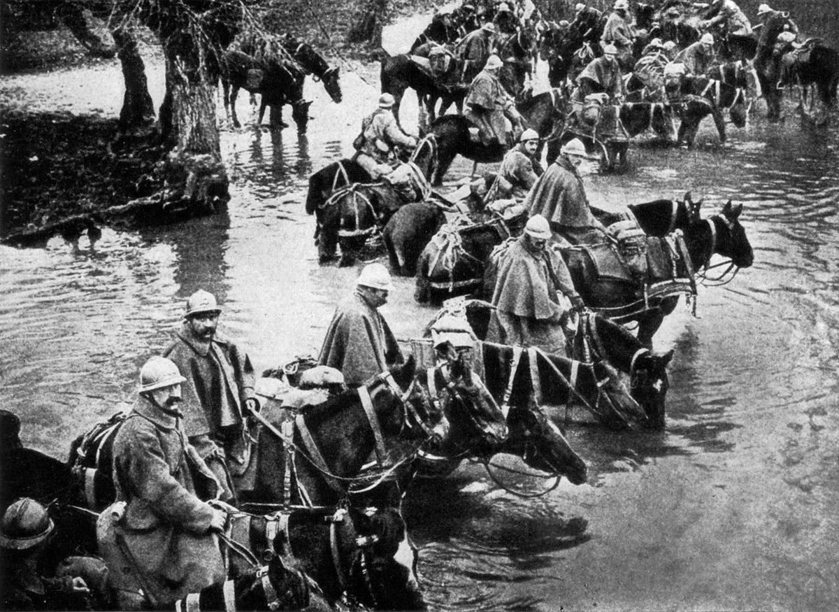 Верденская битва. Первая мировая война битва при Вердене. Верденская мясорубка. 21 Февраля 1916 года битва при Вердене.