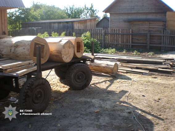 Что делать с пчелиным ульем в ancestors