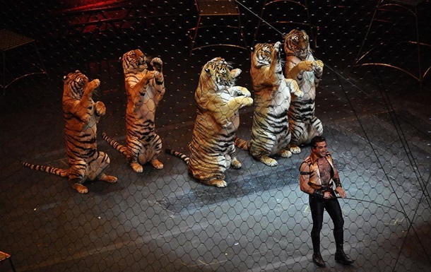 Українські цирки повинні за рік оновити програми без тварин -  