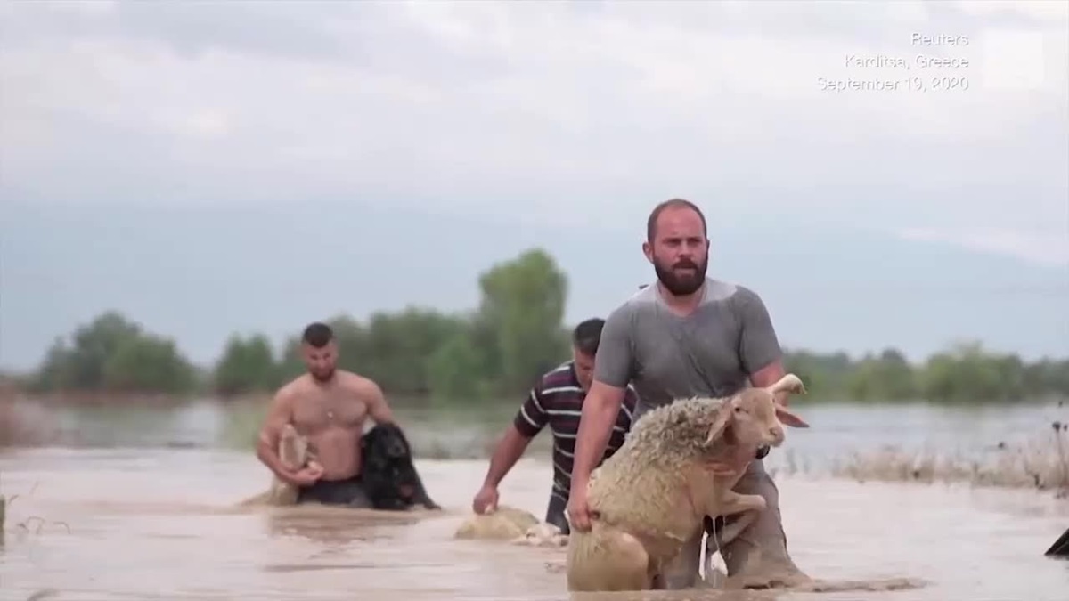 2545544 Економічні новини