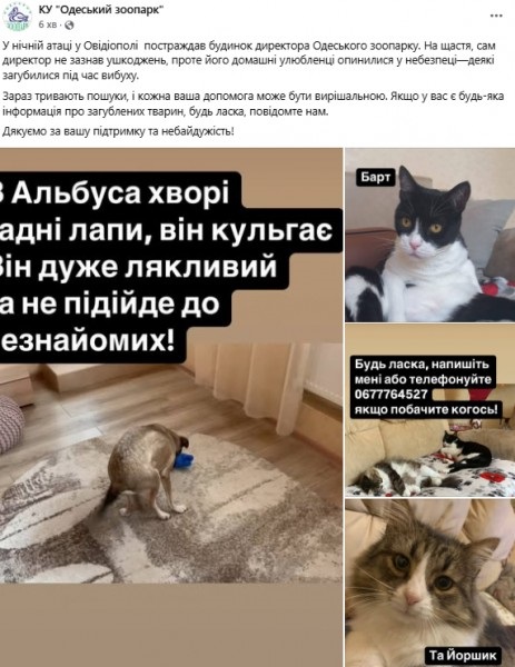  tiqxqirdikuzrz