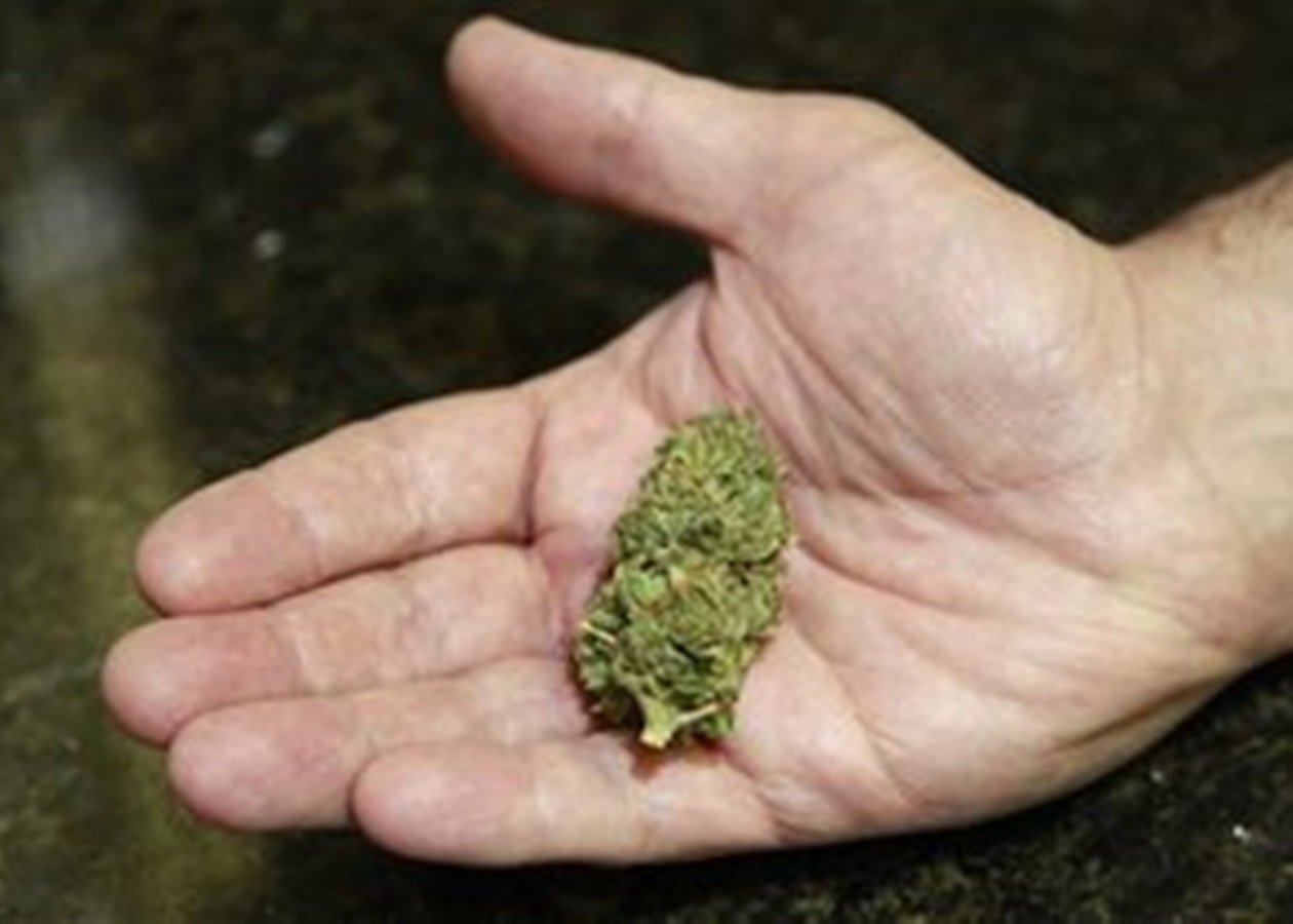 Где легально можно марихуану выращивание конопли в трубе