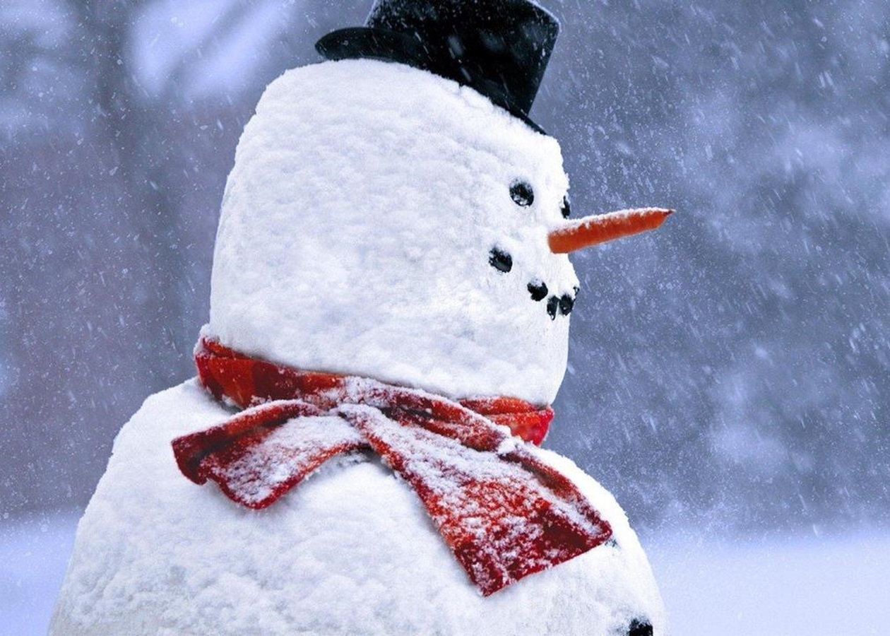 Публикация «Мастер-класс „Как слепить снеговика из рыхлого снега“» размещена в разделах