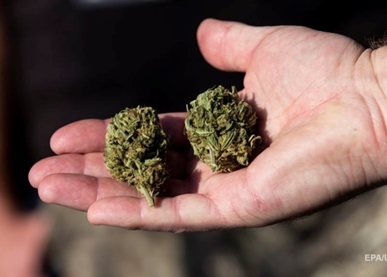 В нью йорк легализовано марихуану наркотик трава конопля