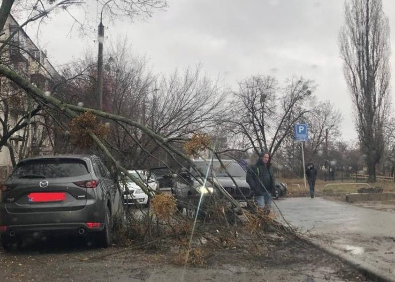 В Харькове ураган повредил авто и повалил деревья - Korrespondent.net