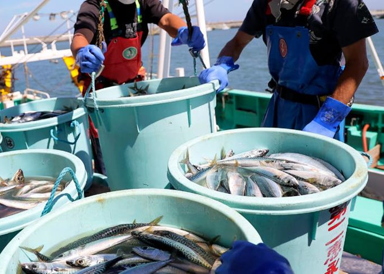 Скандал через Тайвань: Китай заборонив японські морепродукти